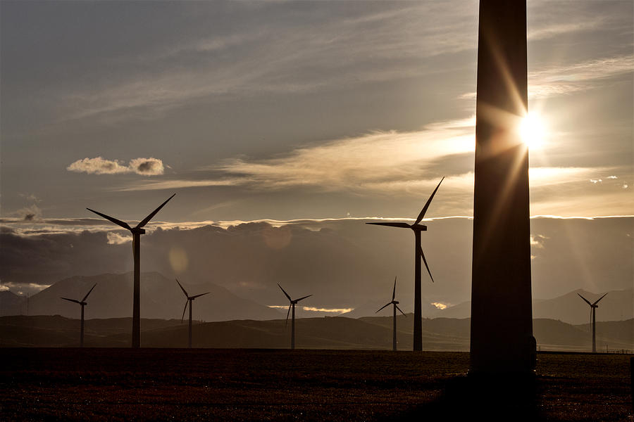 Wind Farm Canada Photograph