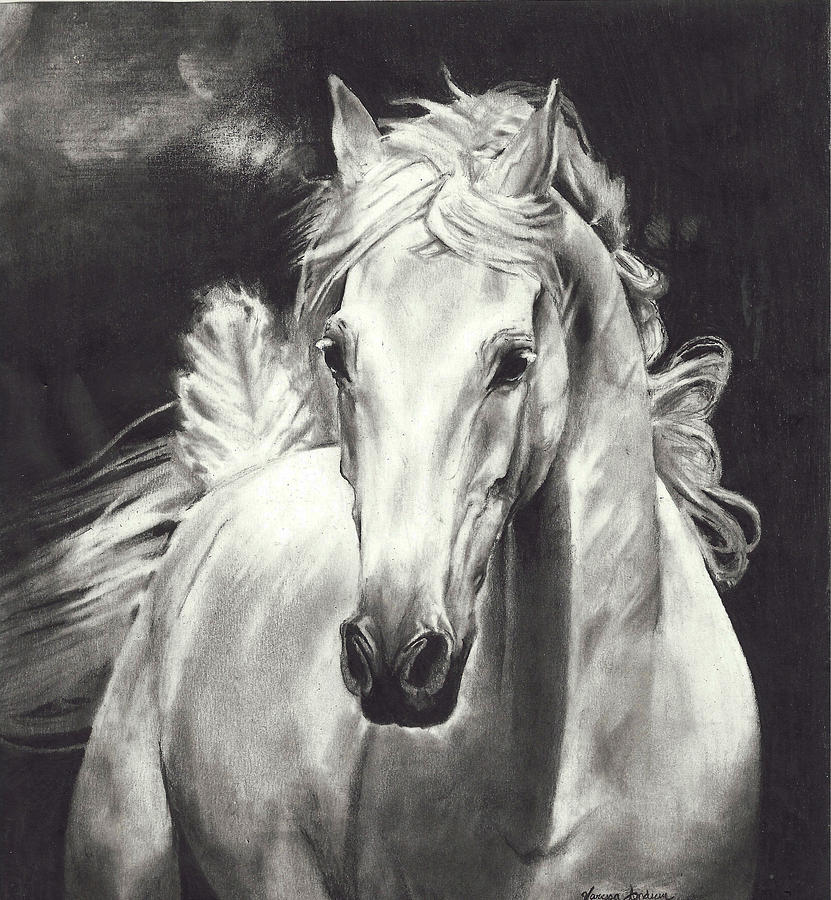 Wind Horse Drawing By Vanessa Anderson - Fine Art America