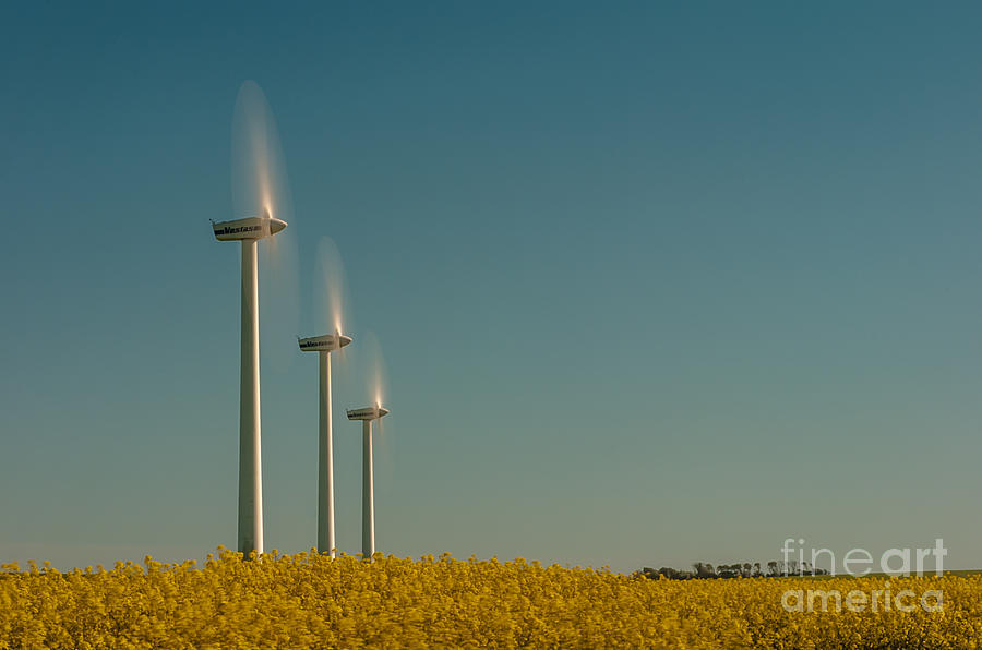 Wind power #1 Photograph by Jorgen Norgaard