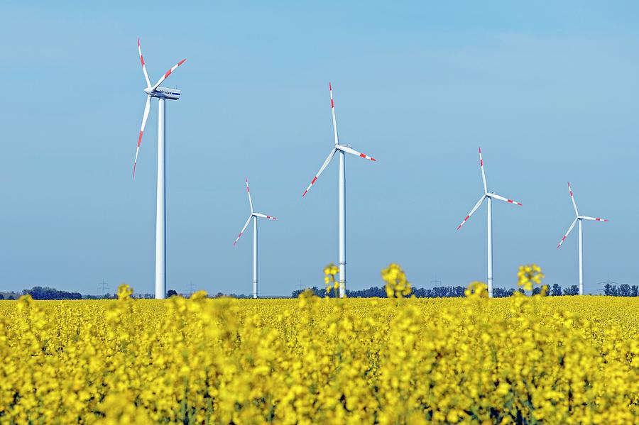 Farm Photograph - Wind Turbines In Rapeseed Field #1 by Bildagentur-online/mcphoto-schulz
