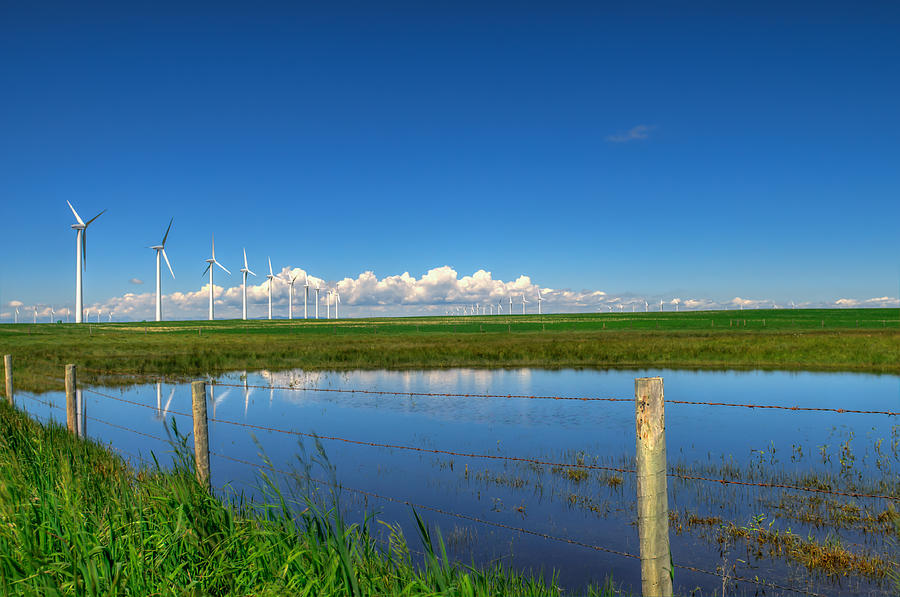Windfarm Photograph
