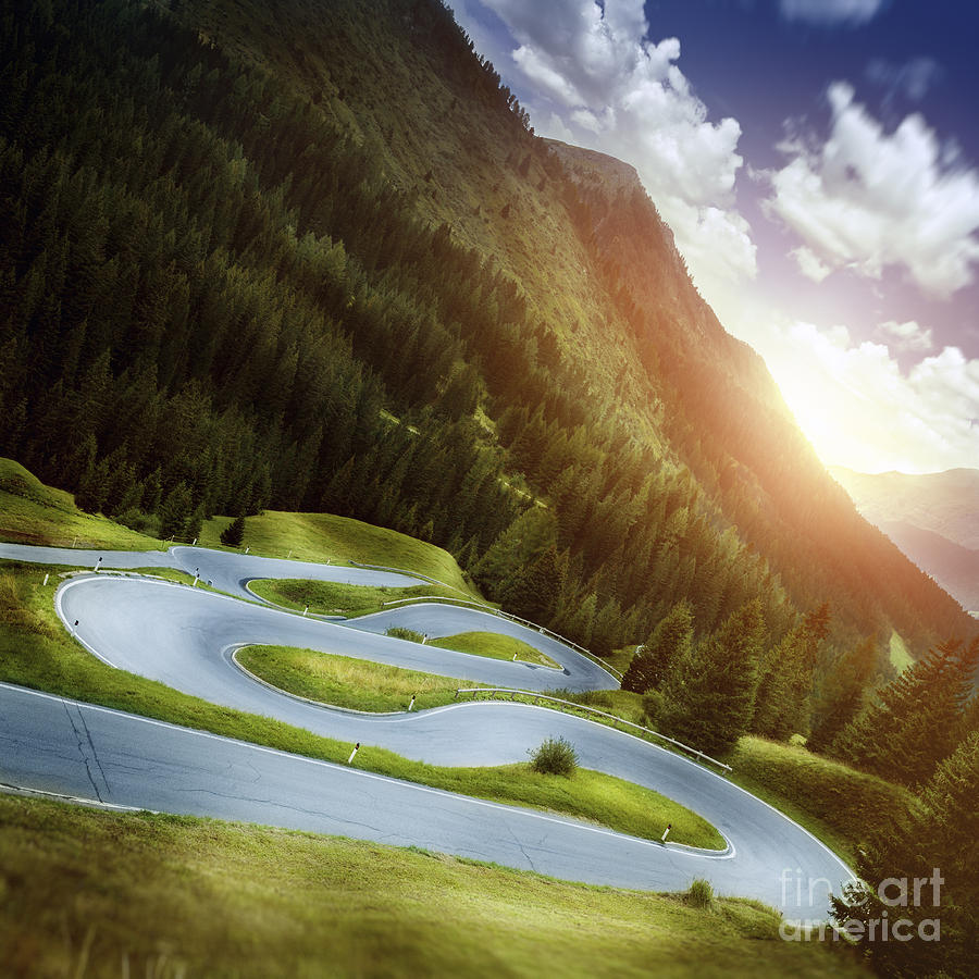 Winding Road In A Forest Of Dolomite Photograph