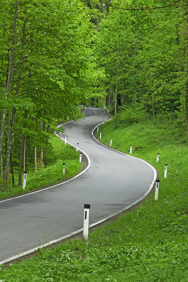 Nature Photograph - Winding Road in the Woods #1 by Chevy Fleet
