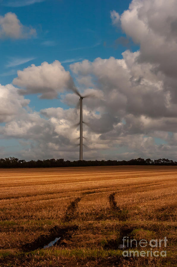 Windpower #1 Photograph by Jorgen Norgaard