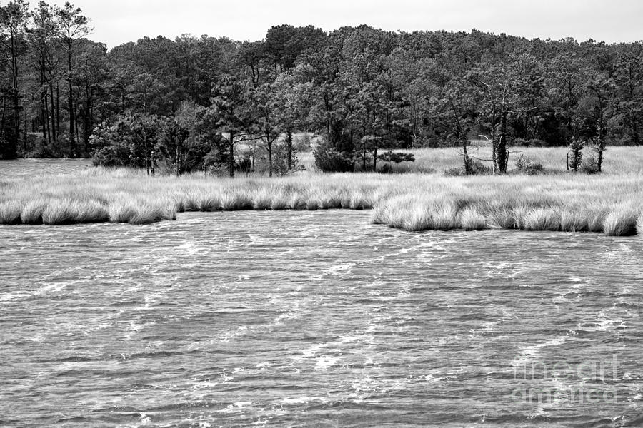 Windy Saltwater Marsh on Roanoke Island North Carolina Photograph by William Kuta
