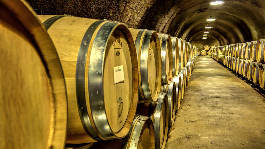 Wine Barrels #1 Photograph by Bill Dodsworth