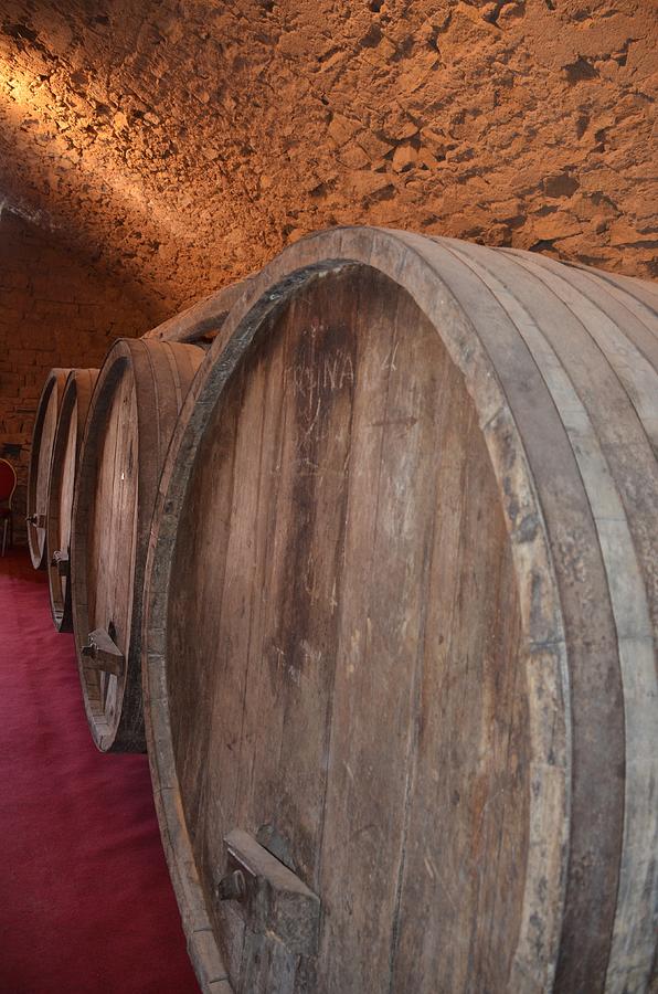 The wine barrels Photograph by Dany Lison