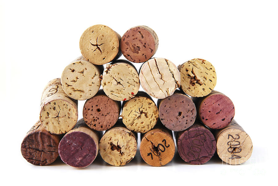 Wine corks 2 Photograph by Elena Elisseeva