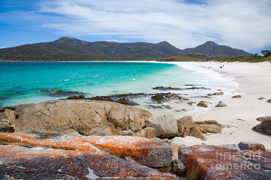 Wineglass bay beach Tasmania Australia #1 Photograph by Matteo Colombo