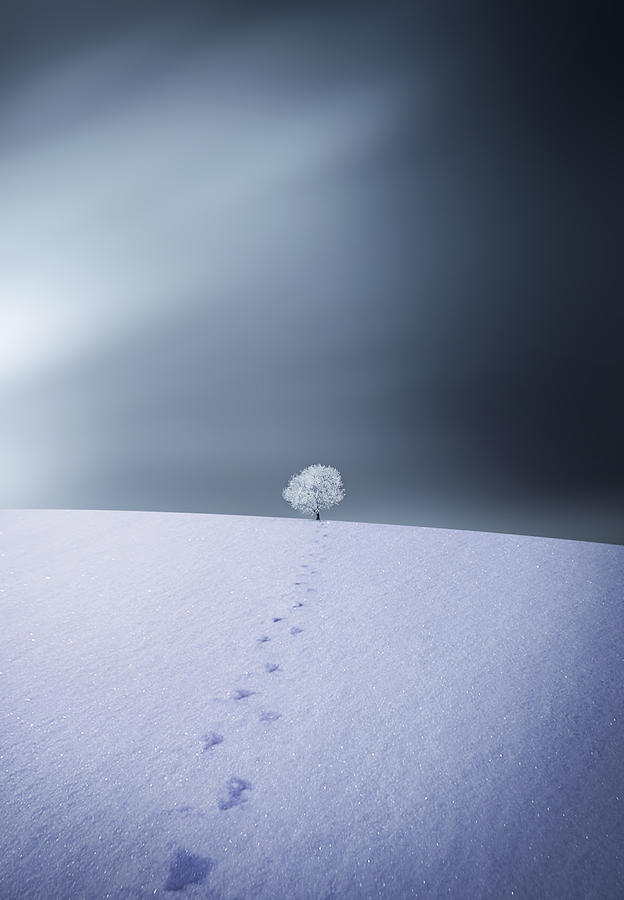 Mountain Photograph - Winter #1 by Bess Hamiti