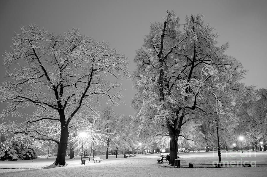 Winter city park in evening. Photograph by Borislav Stefanov - Fine Art ...