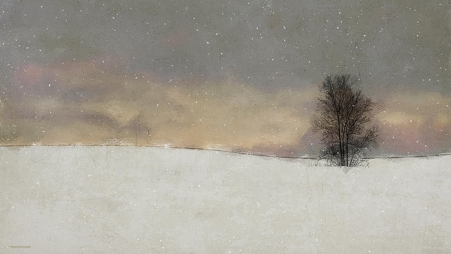 Winter Digital Art - Winter Falling by Ron Jones