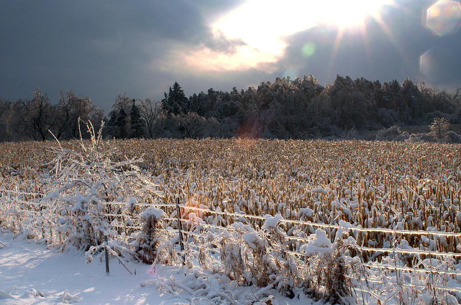 Winter Fields #1 Photograph by Douglas Pike