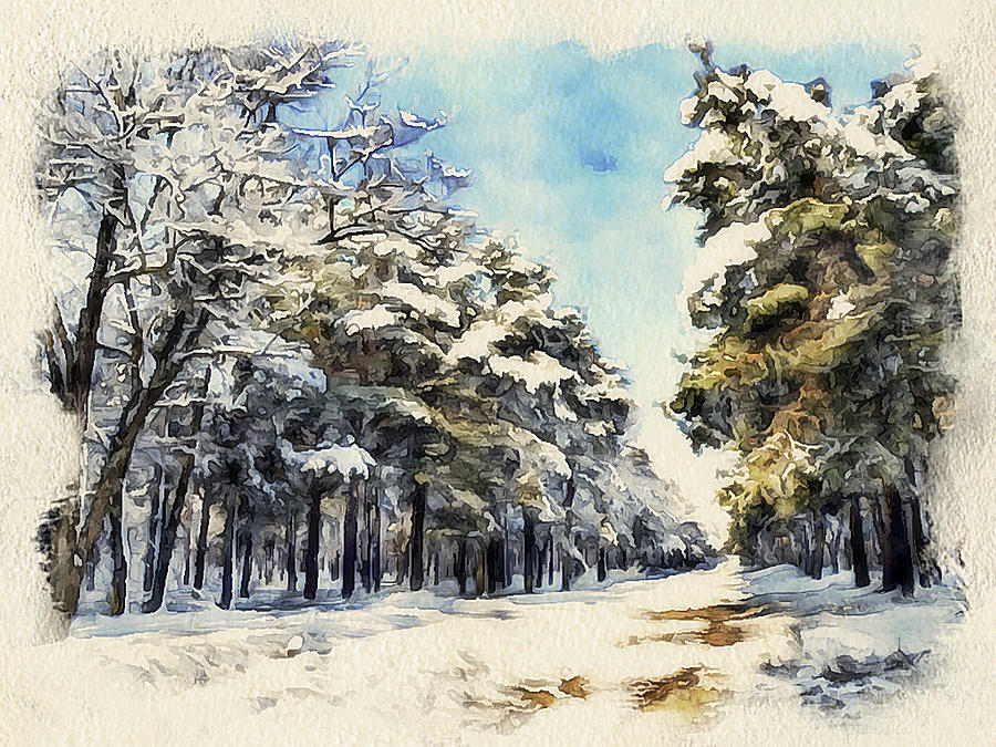 Winter Forest Landscape 37 Digital Art by Yury Malkov - Fine Art America