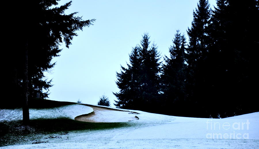 Winter Golf Course Photograph by Tatyana Searcy