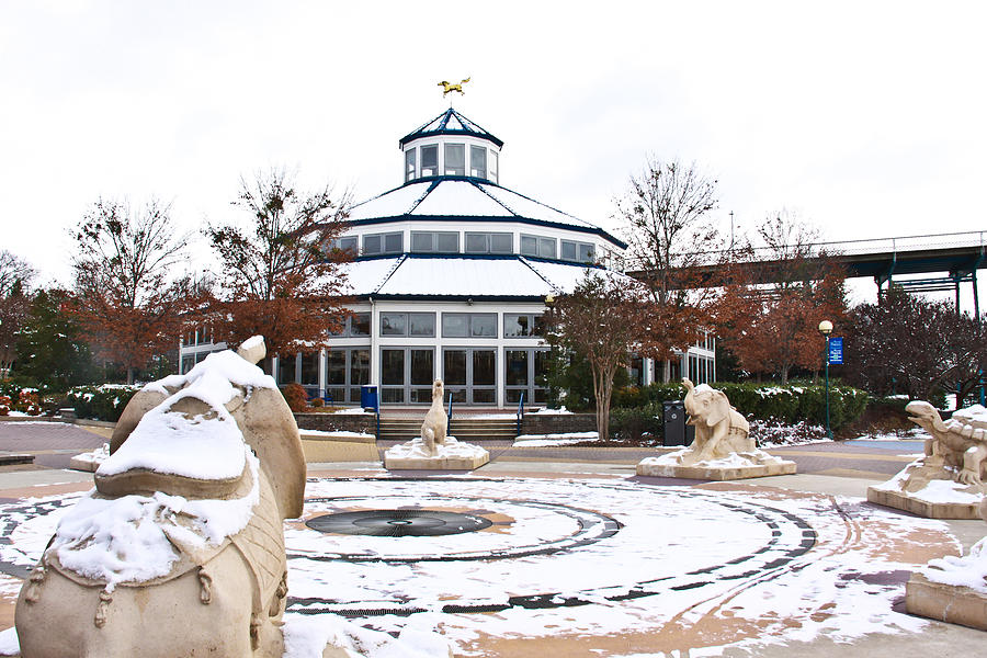 Winter Photograph - Winter in Coolidge Park #1 by Tom and Pat Cory