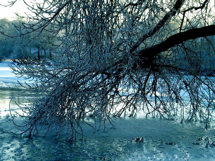 Winter in Denmark #1 Photograph by Colette V Hera Guggenheim