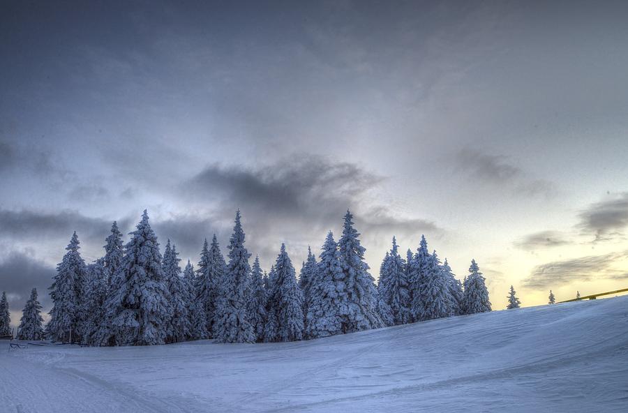 Winter #1 Photograph by Ivan Slosar