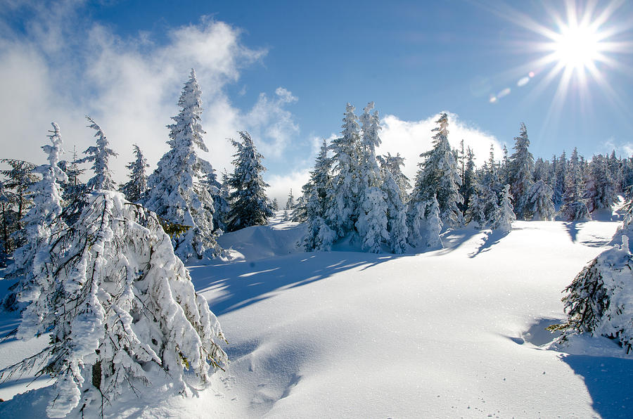 Christmas Photograph - Winter Landscape #2 by Botond Buzas