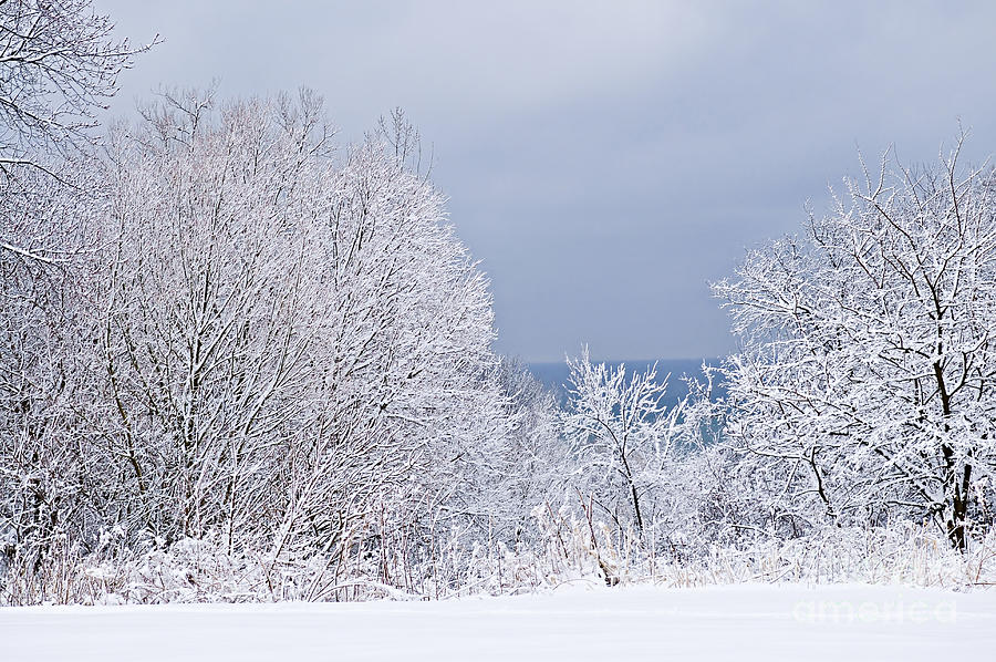 Winter Photograph - Winter landscape 2 by Elena Elisseeva