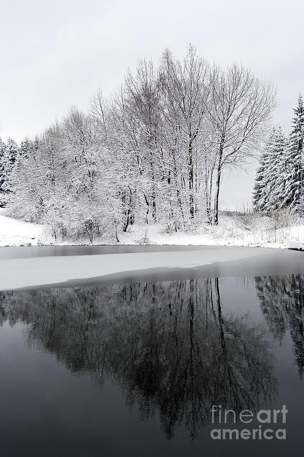 Winter Landscape #1 Photograph by Michal Boubin