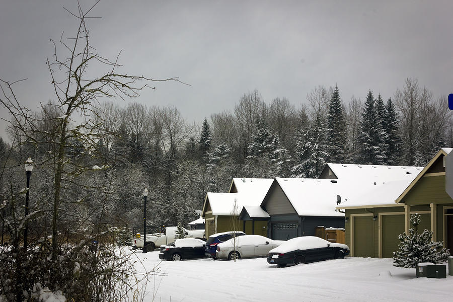 Neighborhood Photograph - Winter Neighborhood #1 by Elizabeth Stein