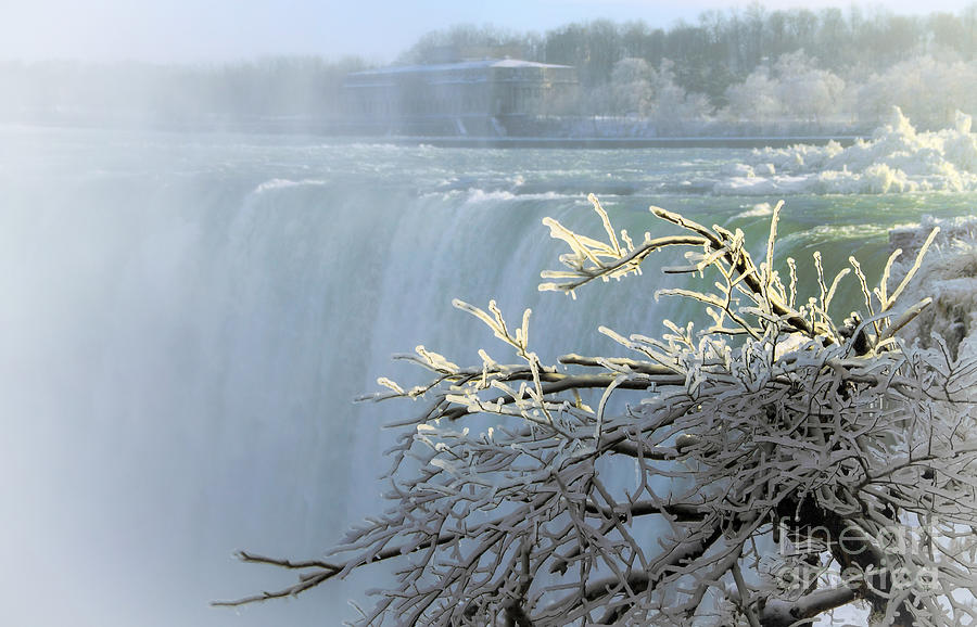 Winter Niagara Falls Photograph by Charline Xia