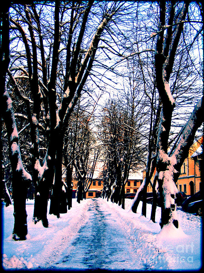 Winter #1 Photograph by Nina Ficur Feenan