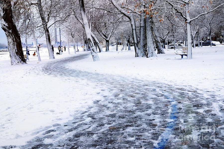 Winter Photograph - Winter park in Toronto 1 by Elena Elisseeva
