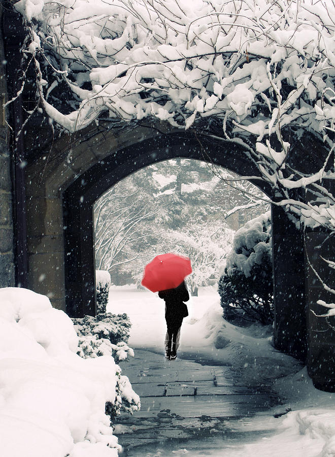 Winter Photograph - Winter Passage #1 by Jessica Jenney