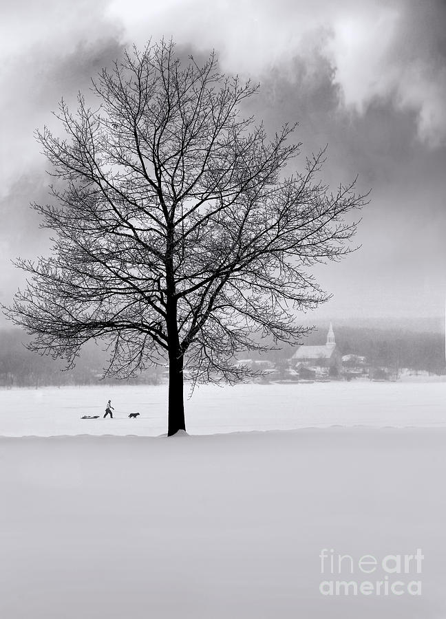 Winter scene with tree and village in background #1 Photograph by Sandra Cunningham
