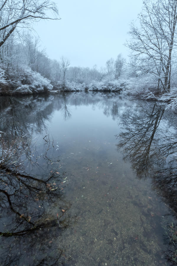 Winter Serenity #1 Photograph by Bryan Bzdula