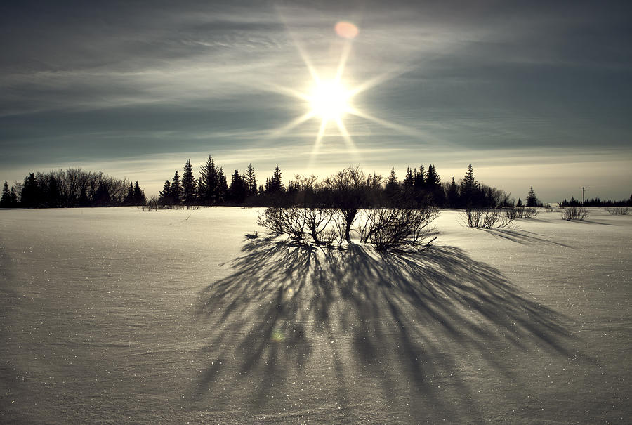 Winter Shadows #1 Photograph by Michele Cornelius
