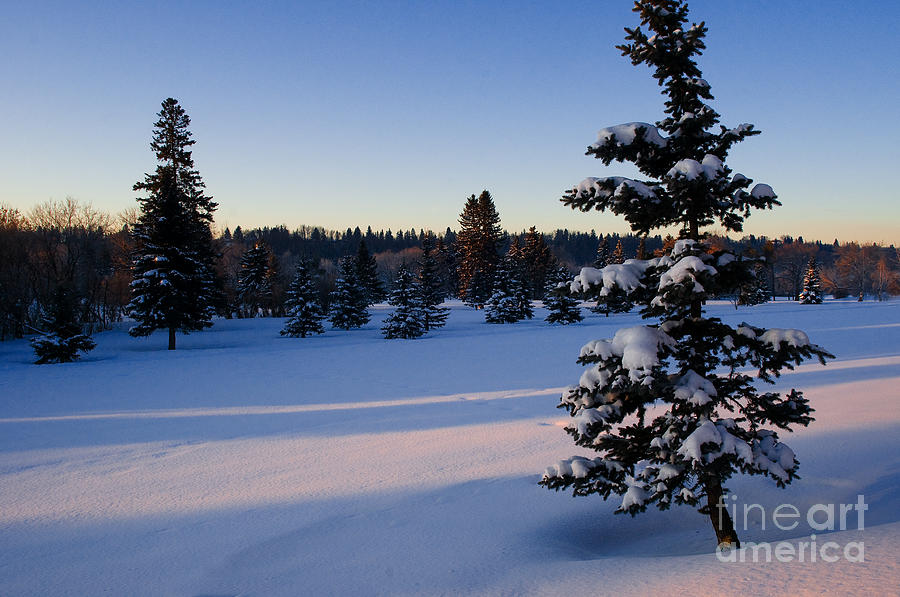 Winter Shadows #1 Photograph by Terry Elniski