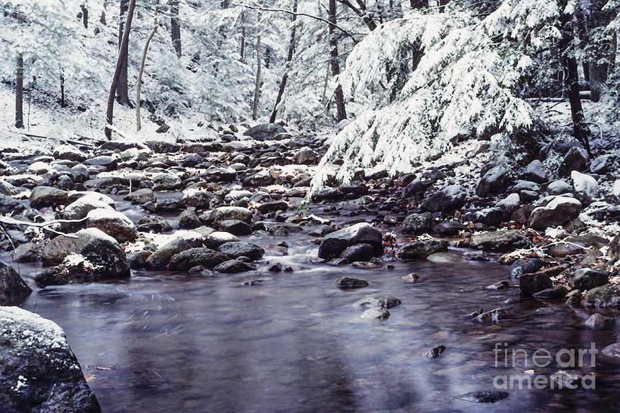 Winter Shenandoah National Park #1 Photograph by Thomas R Fletcher