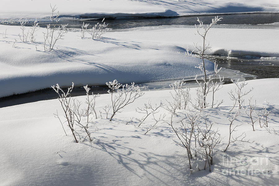 Winter Stream, Jasper National Park #1 Photograph by John Shaw