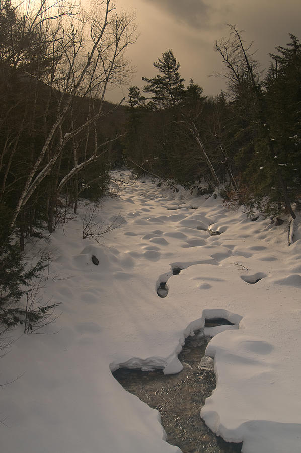 Winter Stream #1 Photograph by Paul Mangold