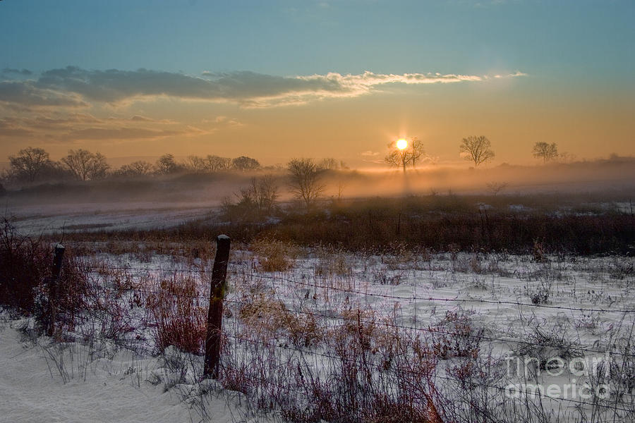 Winter Sunrise Photograph by Ronald Lutz