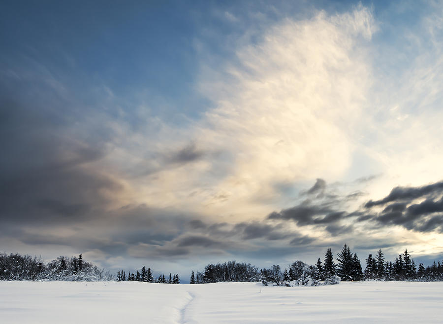 Winter Sunset #1 Photograph by Michele Cornelius