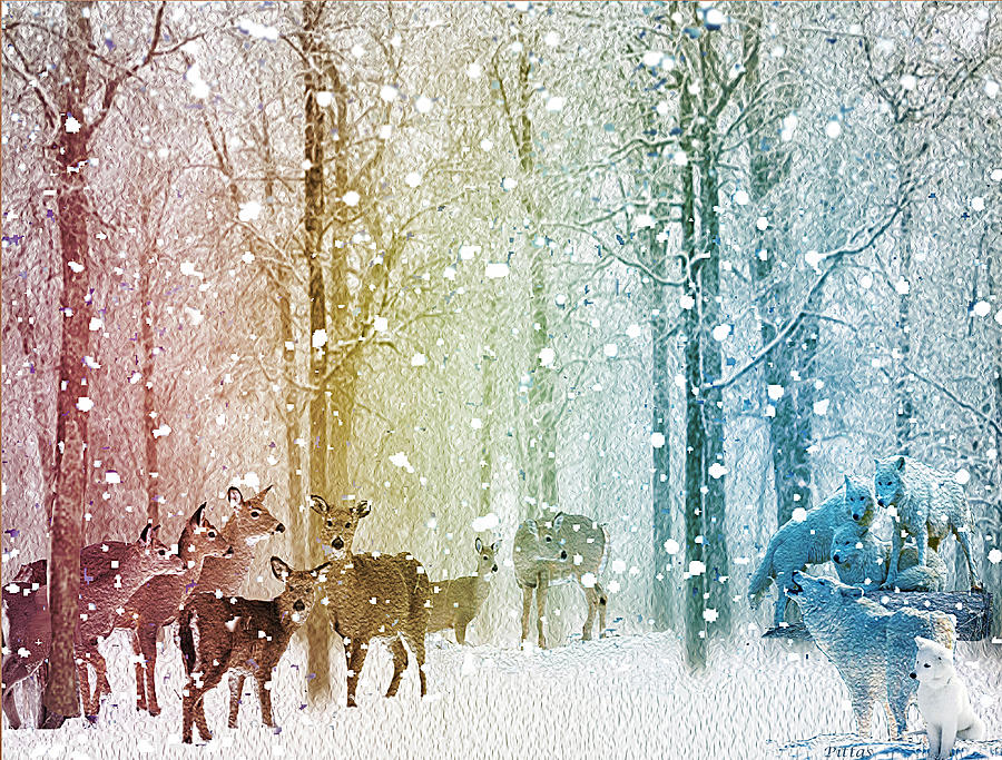 Deer Painting - Winter Truce by Michael Pittas