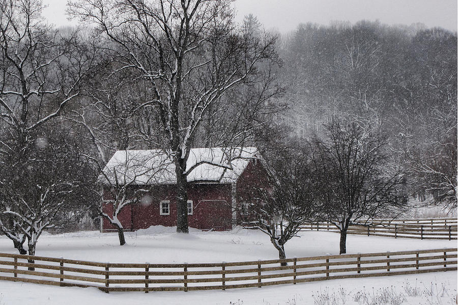 Winter Wonder #1 Photograph by Ann Bridges