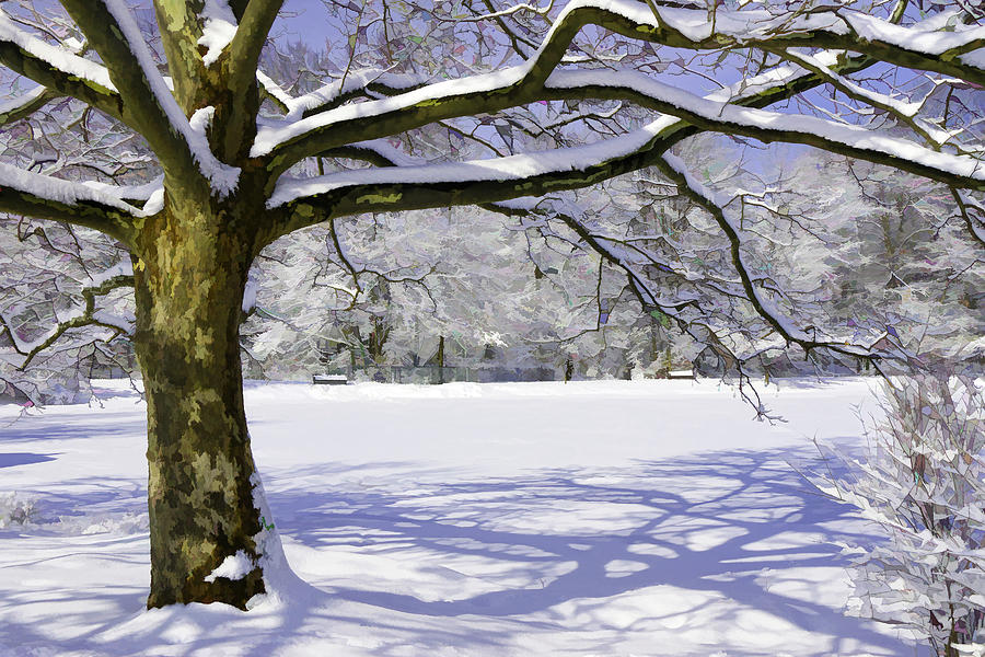 Winter Wonderland Photograph by Allen Beatty