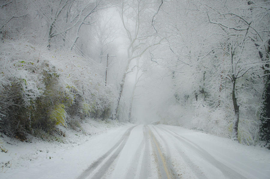 Winter Wonderland #1 Photograph by Bill Cannon - Fine Art America