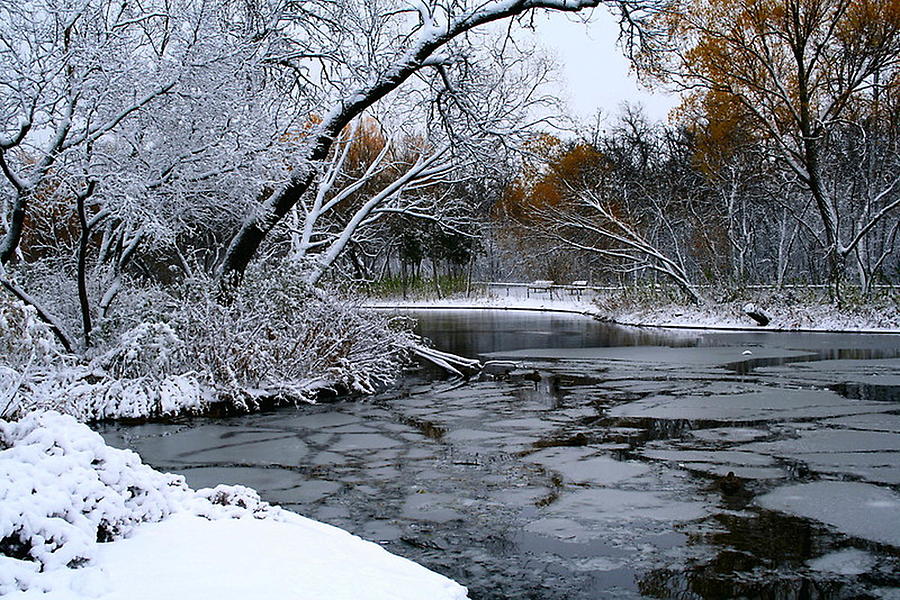 Winter Wonderland Photograph by Larry Trupp