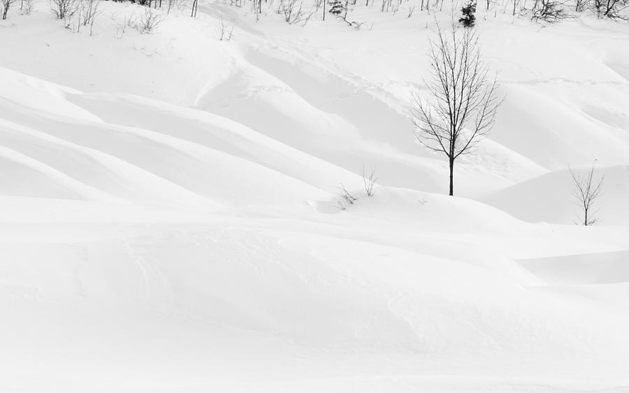Winter wonderland #1 Photograph by Nick Mares