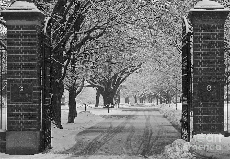 Winters Path #1 Photograph by David  Hubbs