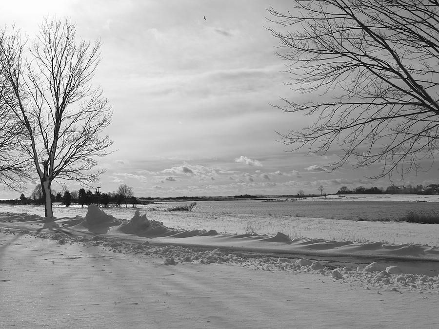 Black And White Photograph - Wintery Coast #1 by Patricia McKay