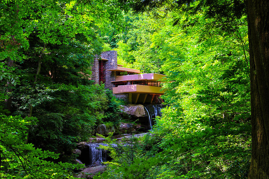 Wishes on Fallingwater Photograph by Rachel Cohen