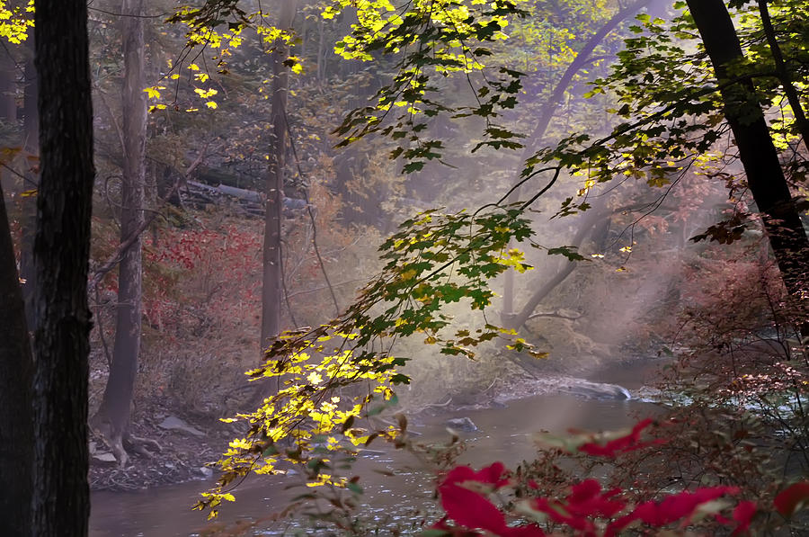 Wissahickon Autumn #1 Photograph by Bill Cannon