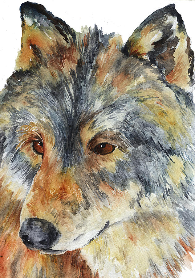 Wolf Painting by Sally Quillin